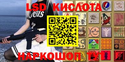 a pvp Будённовск